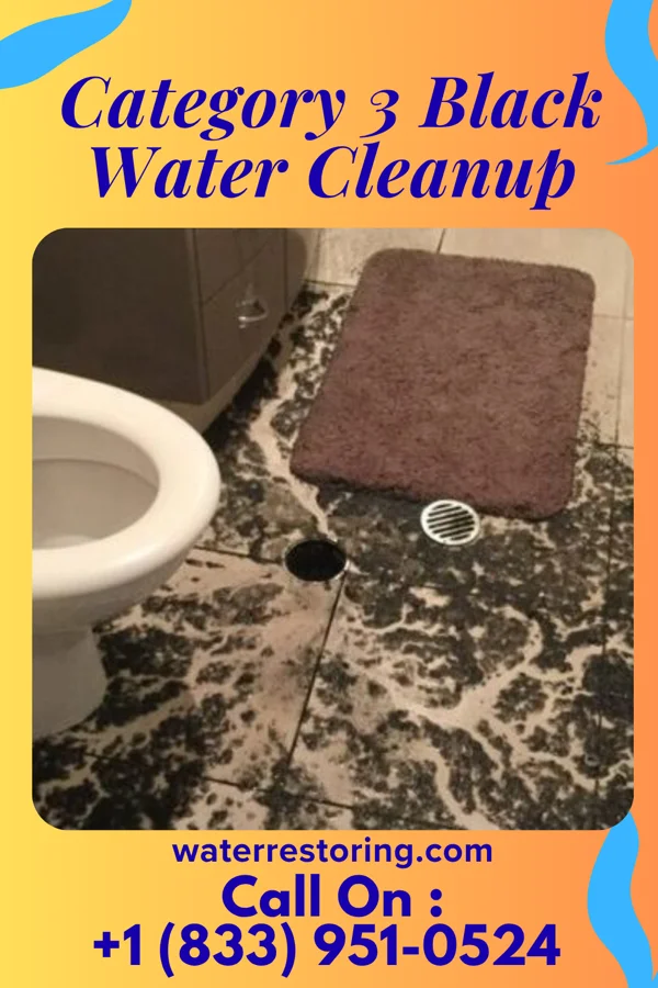 Category 3 Black Water Cleanup in Pinson, AL